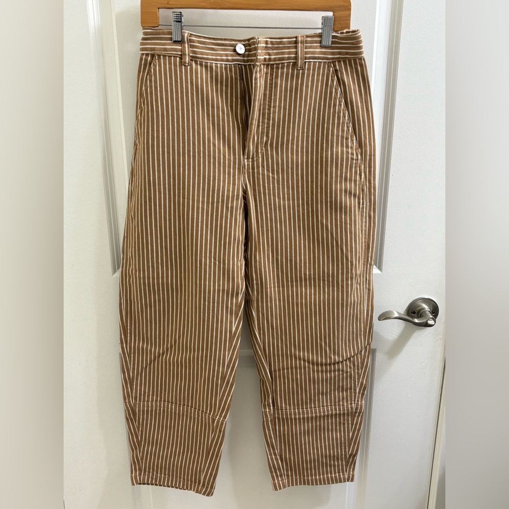Everlane Gardener Utility Trousers in Tan Stripe